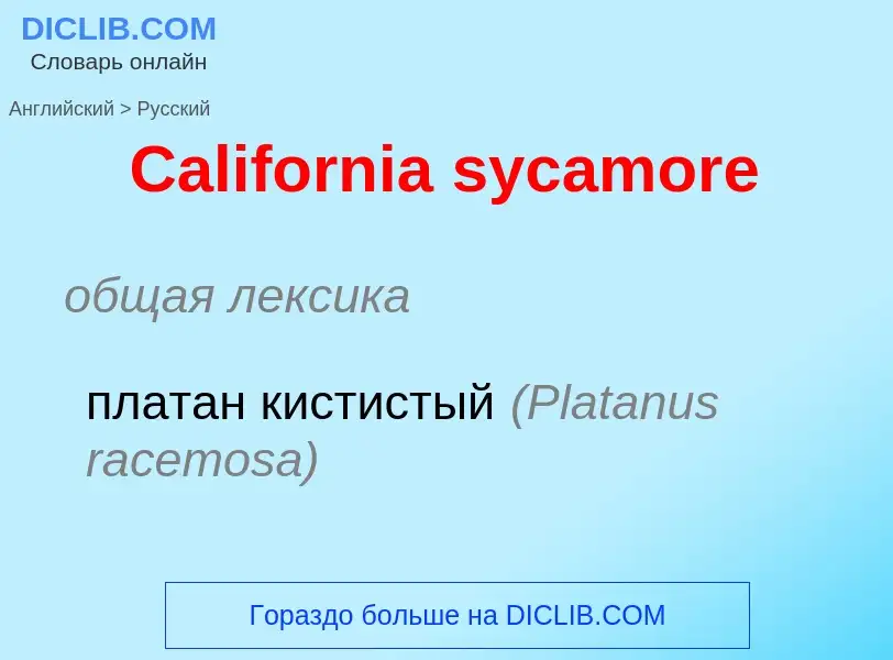 Como se diz California sycamore em Russo? Tradução de &#39California sycamore&#39 em Russo