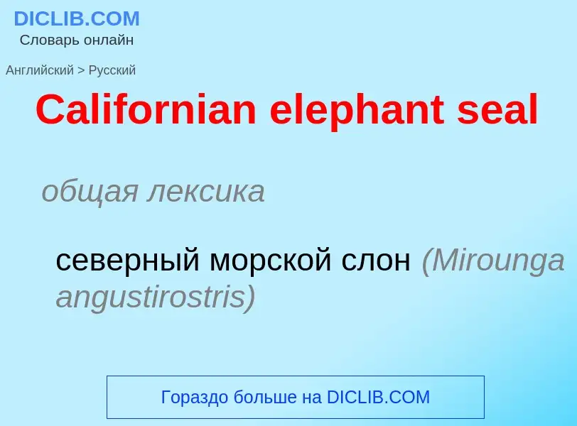 Como se diz Californian elephant seal em Russo? Tradução de &#39Californian elephant seal&#39 em Rus