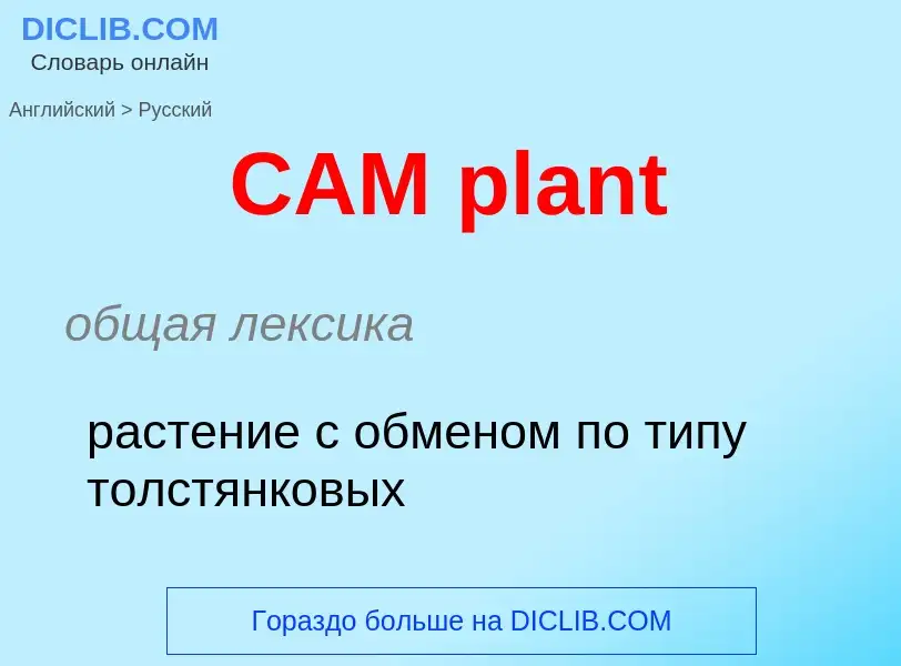 Как переводится CAM plant на Русский язык