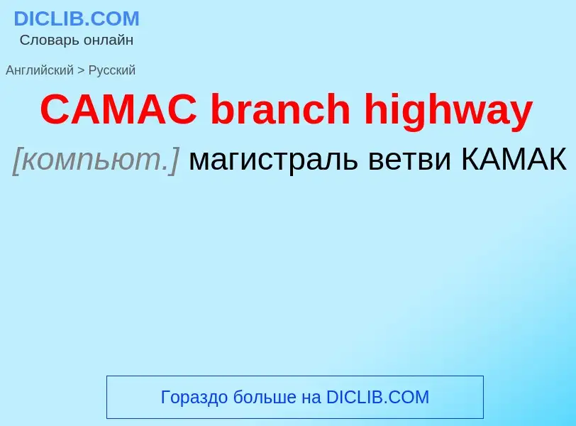 Как переводится CAMAC branch highway на Русский язык