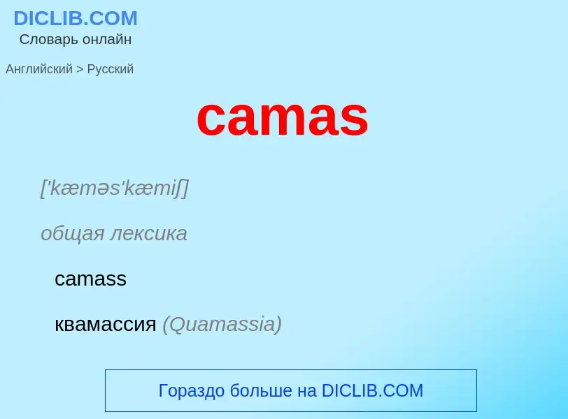 What is the Russian for camas? Translation of &#39camas&#39 to Russian