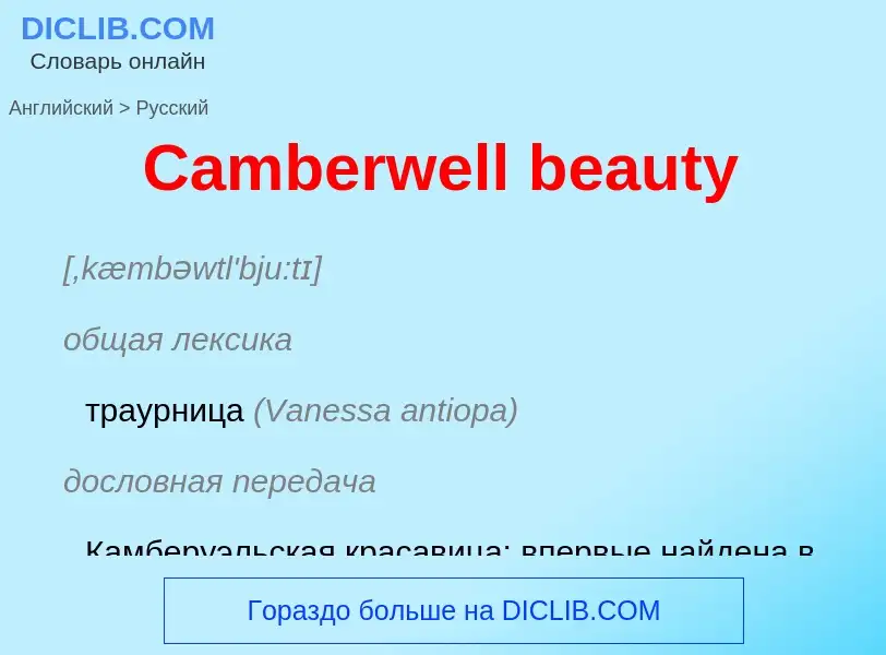 Como se diz Camberwell beauty em Russo? Tradução de &#39Camberwell beauty&#39 em Russo