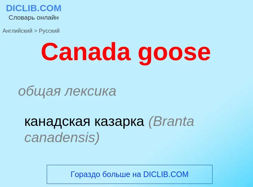 Como se diz Canada goose em Russo? Tradução de &#39Canada goose&#39 em Russo