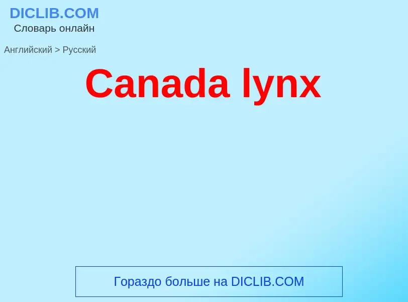 Como se diz Canada lynx em Russo? Tradução de &#39Canada lynx&#39 em Russo