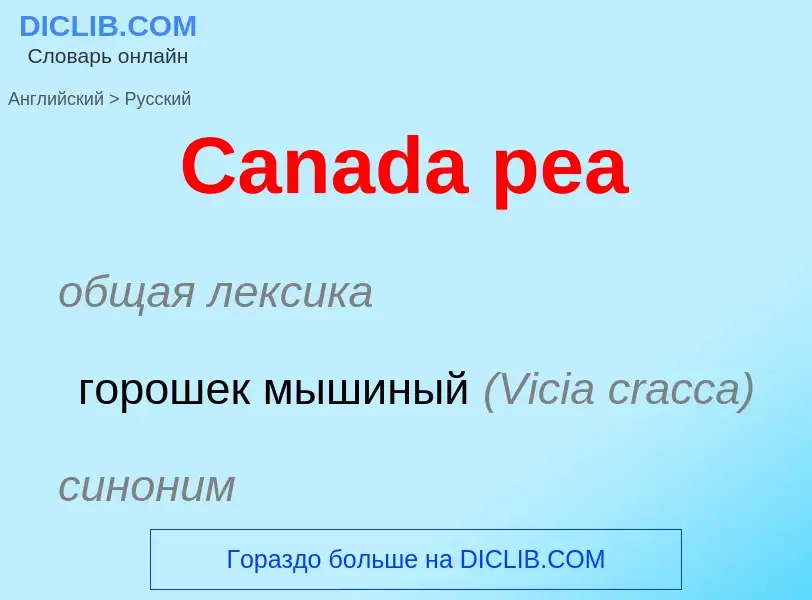 Como se diz Canada pea em Russo? Tradução de &#39Canada pea&#39 em Russo