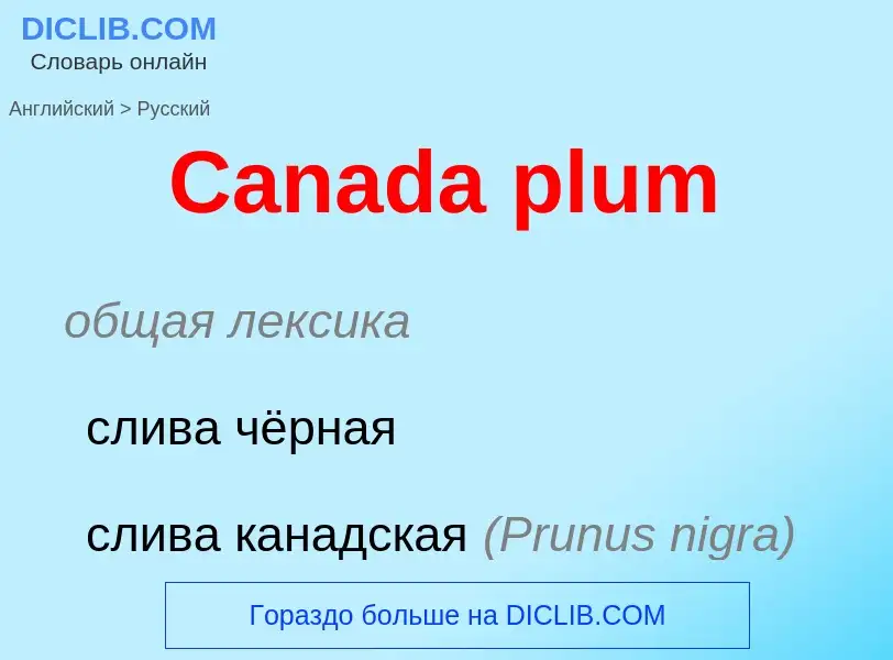 Como se diz Canada plum em Russo? Tradução de &#39Canada plum&#39 em Russo