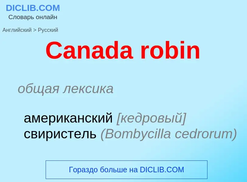 Como se diz Canada robin em Russo? Tradução de &#39Canada robin&#39 em Russo