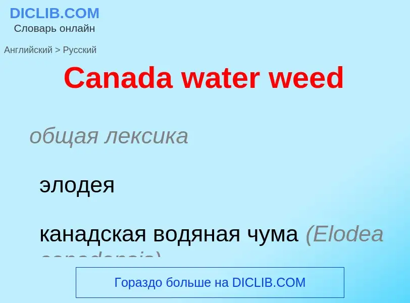 Como se diz Canada water weed em Russo? Tradução de &#39Canada water weed&#39 em Russo