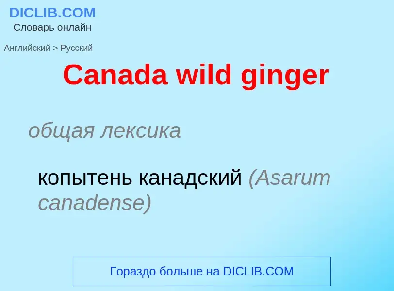 Como se diz Canada wild ginger em Russo? Tradução de &#39Canada wild ginger&#39 em Russo