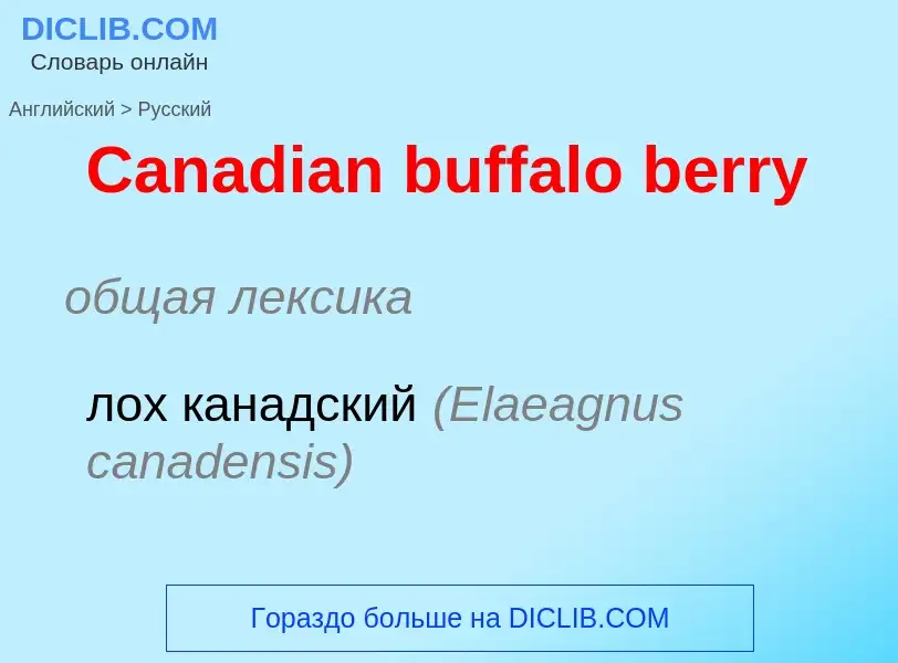 Como se diz Canadian buffalo berry em Russo? Tradução de &#39Canadian buffalo berry&#39 em Russo