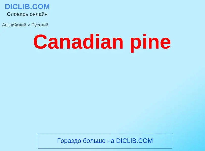 Como se diz Canadian pine em Russo? Tradução de &#39Canadian pine&#39 em Russo