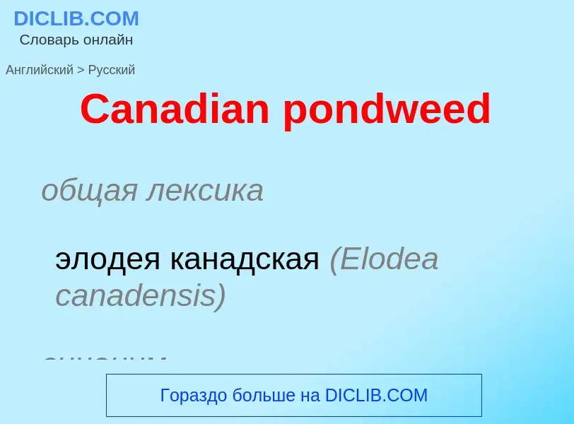 What is the الروسية for Canadian pondweed? Translation of &#39Canadian pondweed&#39 to الروسية