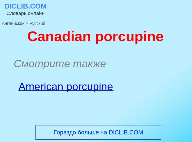 Como se diz Canadian porcupine em Russo? Tradução de &#39Canadian porcupine&#39 em Russo