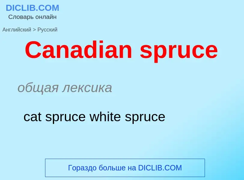 Como se diz Canadian spruce em Russo? Tradução de &#39Canadian spruce&#39 em Russo