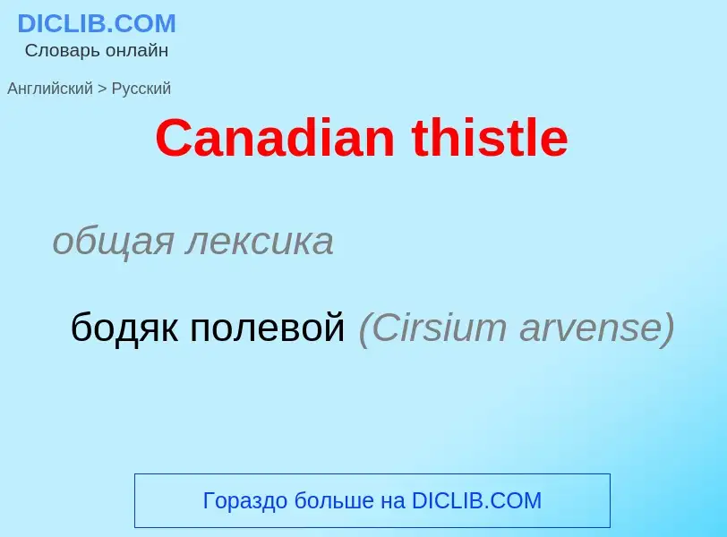 ¿Cómo se dice Canadian thistle en Ruso? Traducción de &#39Canadian thistle&#39 al Ruso