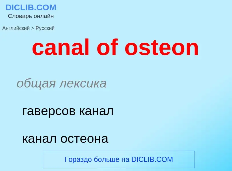 Как переводится canal of osteon на Русский язык