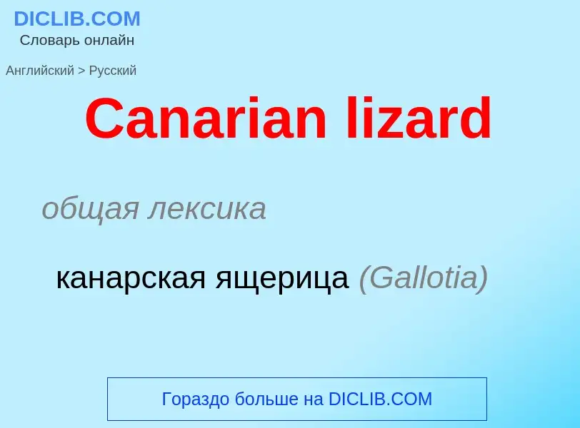 Como se diz Canarian lizard em Russo? Tradução de &#39Canarian lizard&#39 em Russo