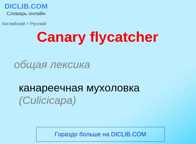 Como se diz Canary flycatcher em Russo? Tradução de &#39Canary flycatcher&#39 em Russo