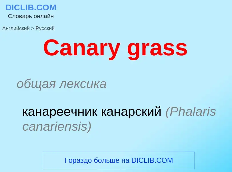 Como se diz Canary grass em Russo? Tradução de &#39Canary grass&#39 em Russo