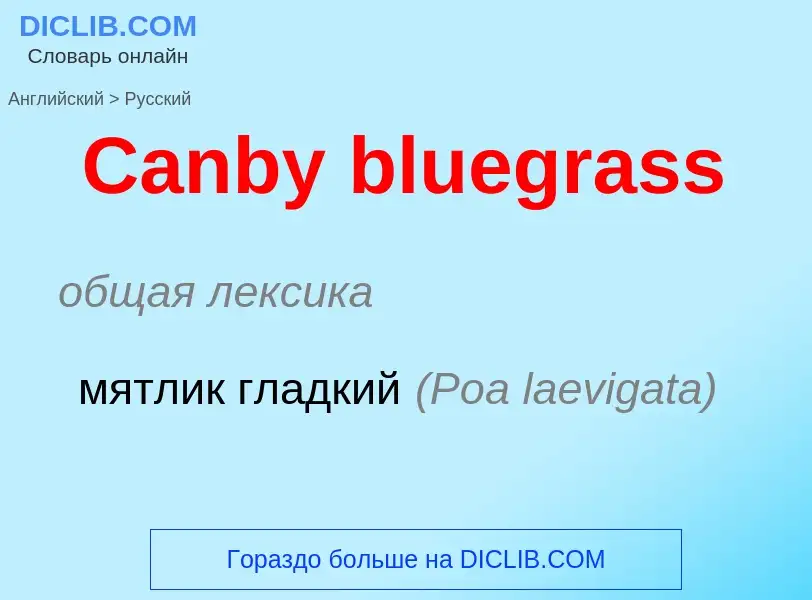 Como se diz Canby bluegrass em Russo? Tradução de &#39Canby bluegrass&#39 em Russo