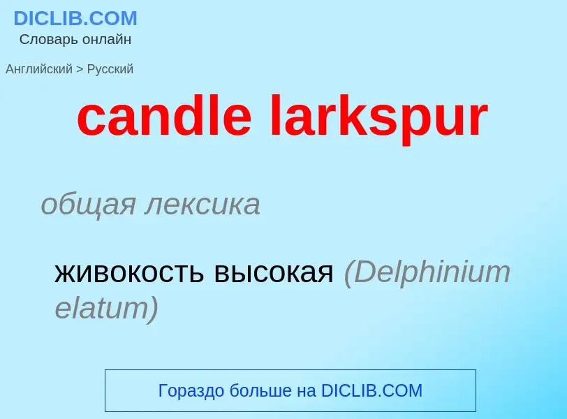 Vertaling van &#39candle larkspur&#39 naar Russisch