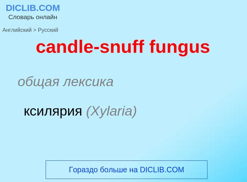 Μετάφραση του &#39candle-snuff fungus&#39 σε Ρωσικά