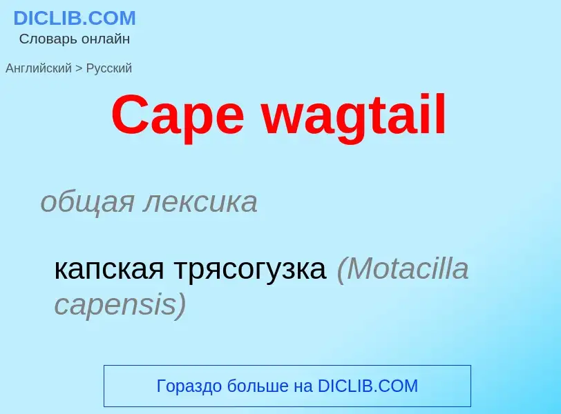 Μετάφραση του &#39Cape wagtail&#39 σε Ρωσικά