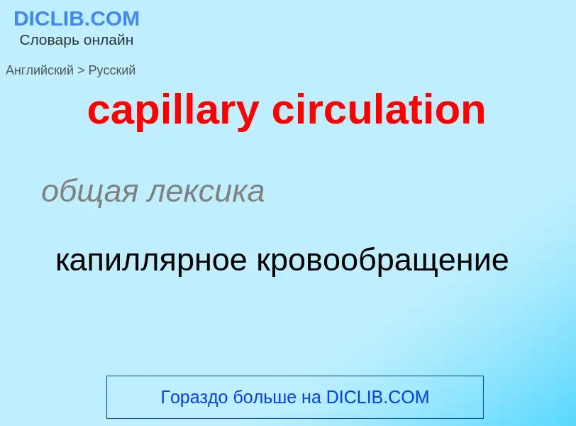 Как переводится capillary circulation на Русский язык