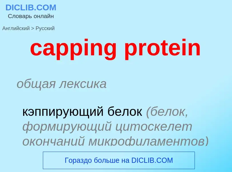 ¿Cómo se dice capping protein en Ruso? Traducción de &#39capping protein&#39 al Ruso