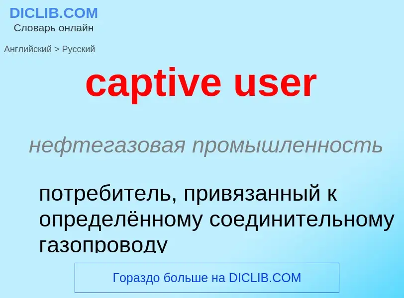 Как переводится captive user на Русский язык