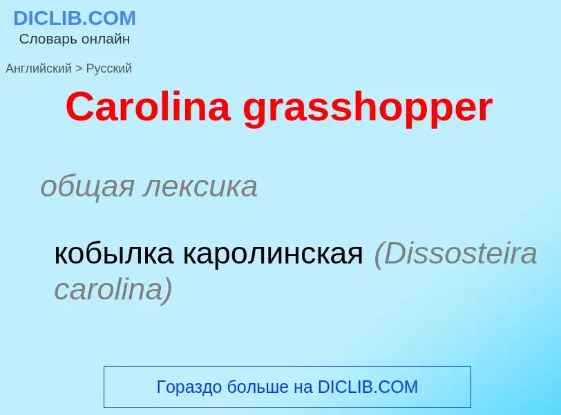 Как переводится Carolina grasshopper на Русский язык