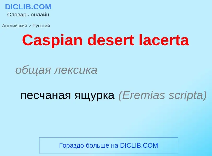 Как переводится Caspian desert lacerta на Русский язык