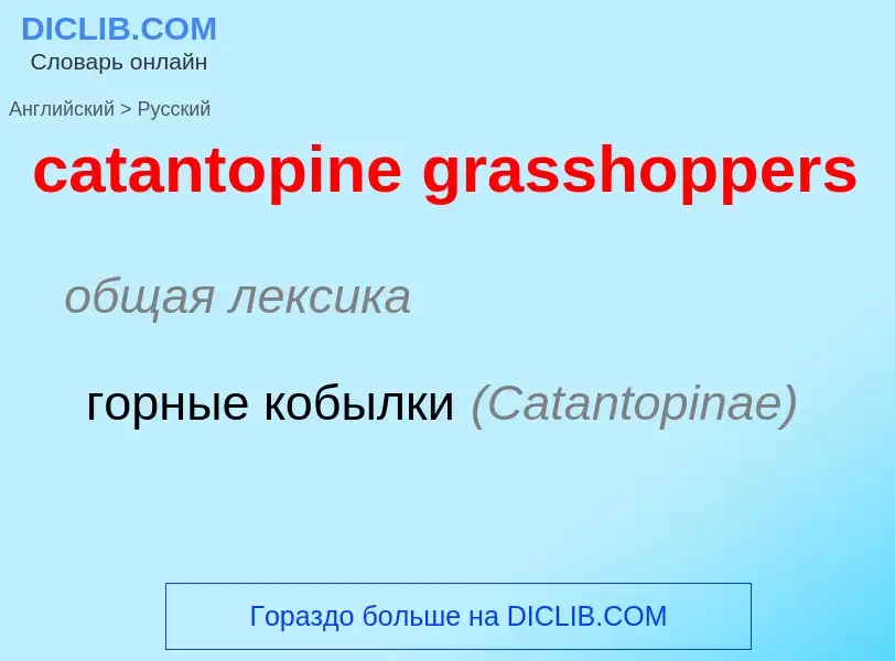 Как переводится catantopine grasshoppers на Русский язык