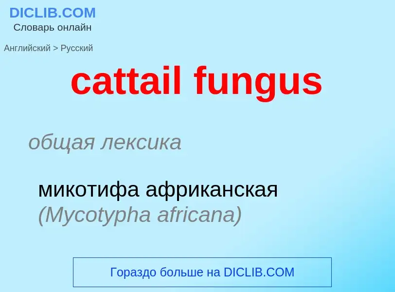 Μετάφραση του &#39cattail fungus&#39 σε Ρωσικά