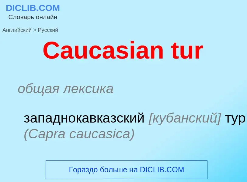 Как переводится Caucasian tur на Русский язык