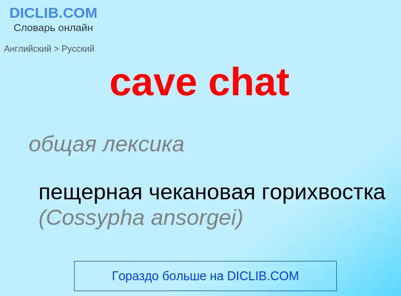 Μετάφραση του &#39cave chat&#39 σε Ρωσικά