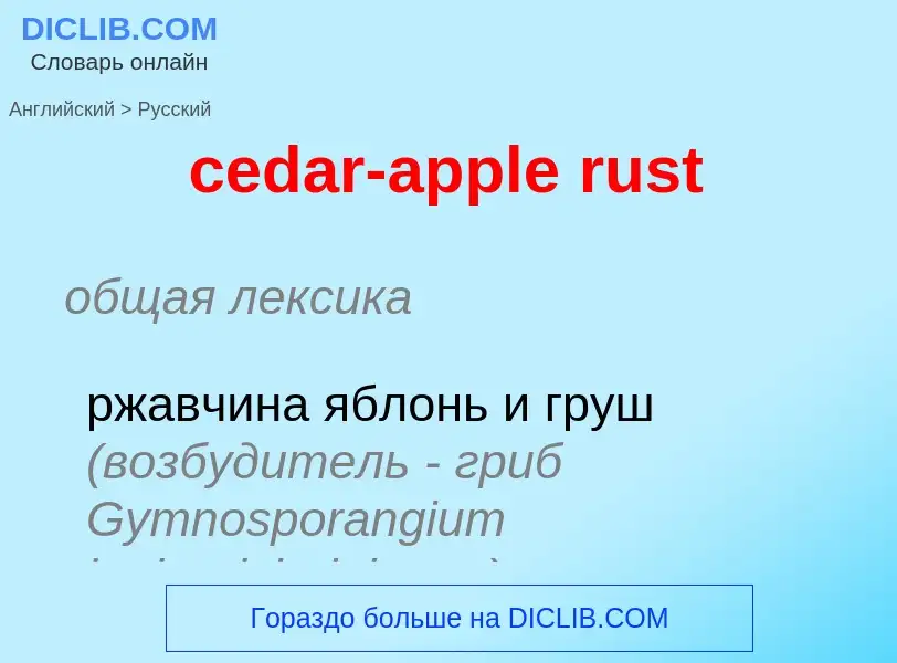 Как переводится cedar-apple rust на Русский язык