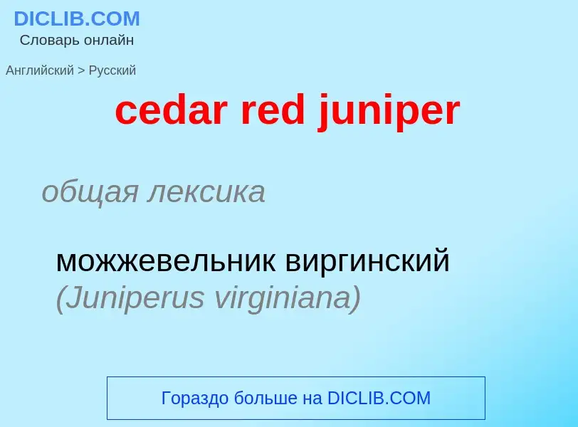 Как переводится cedar red juniper на Русский язык