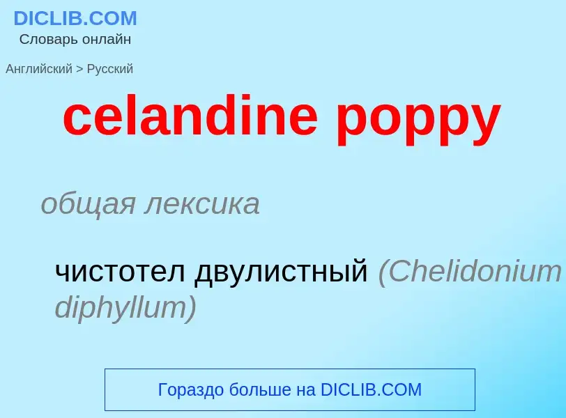 Como se diz celandine poppy em Russo? Tradução de &#39celandine poppy&#39 em Russo