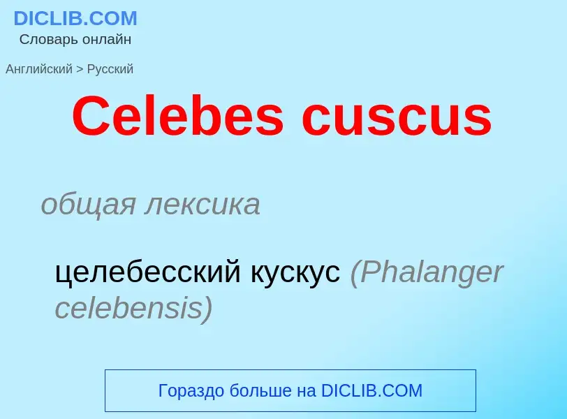 Как переводится Celebes cuscus на Русский язык