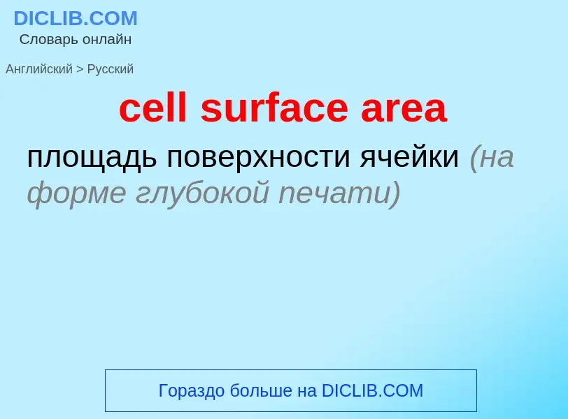 Как переводится cell surface area на Русский язык