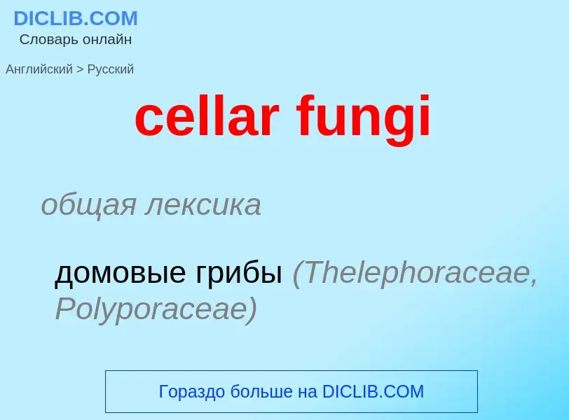 Traduction de &#39cellar fungi&#39 en Russe