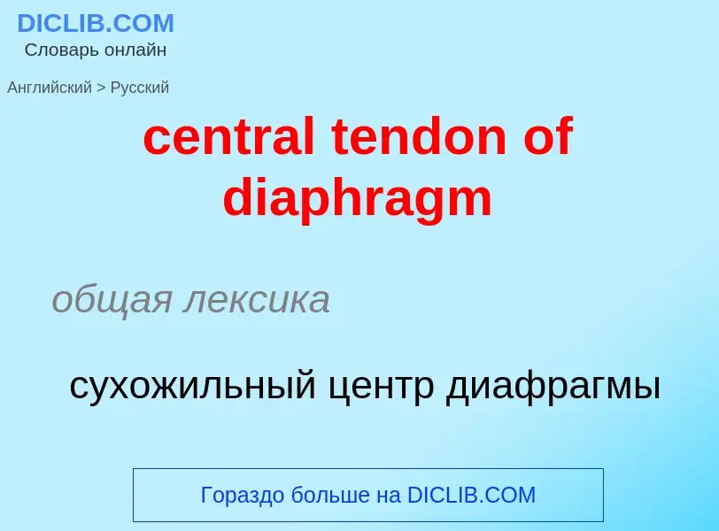 Как переводится central tendon of diaphragm на Русский язык