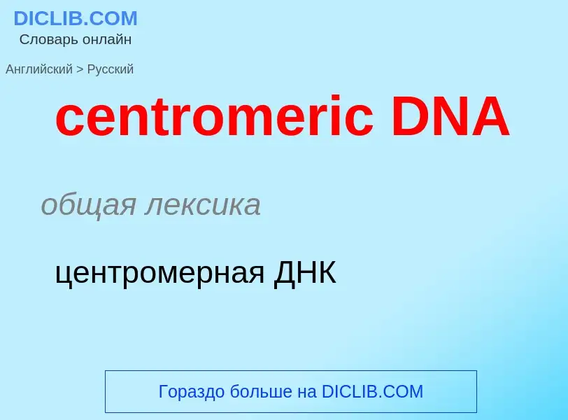 Vertaling van &#39centromeric DNA&#39 naar Russisch