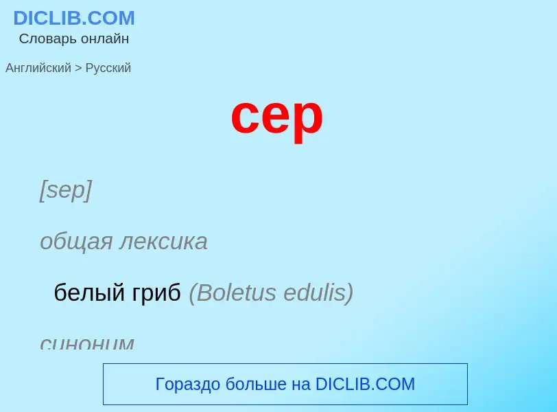 ¿Cómo se dice cep en Ruso? Traducción de &#39cep&#39 al Ruso