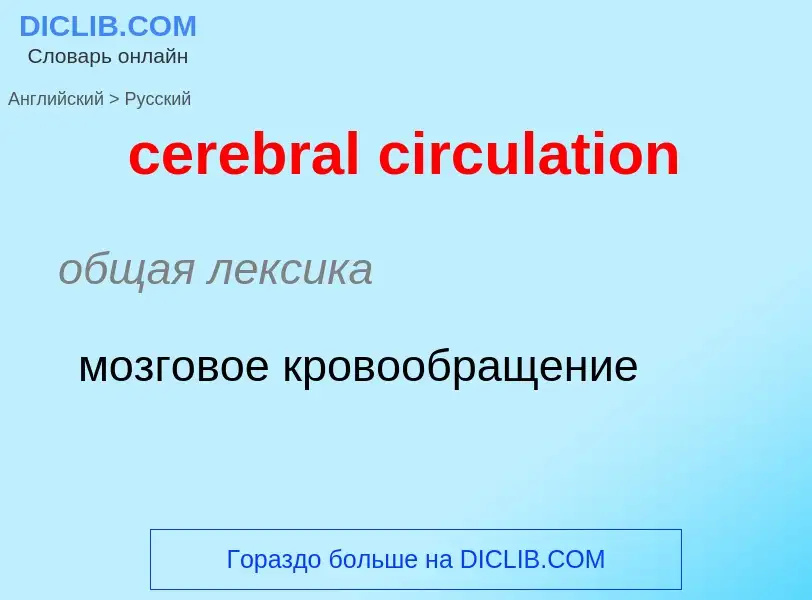 Как переводится cerebral circulation на Русский язык