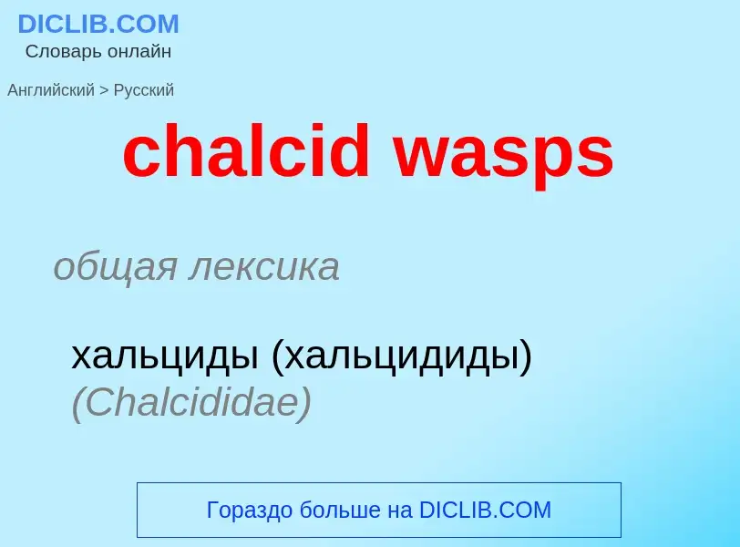 Как переводится chalcid wasps на Русский язык