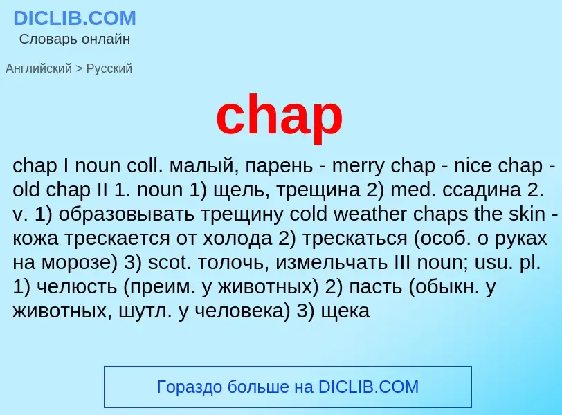 Как переводится chap на Русский язык