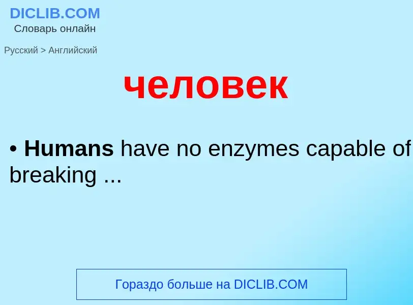 Μετάφραση του &#39человек&#39 σε Αγγλικά