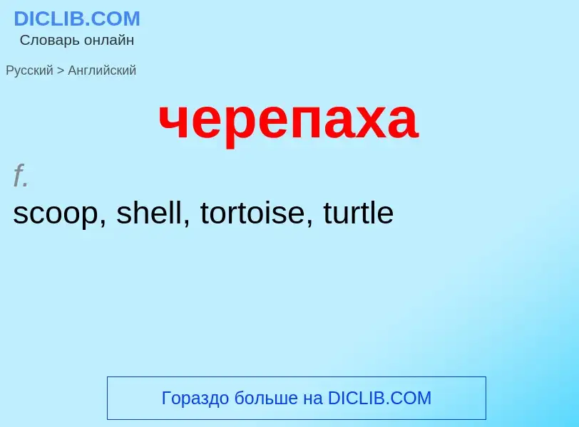 Μετάφραση του &#39черепаха&#39 σε Αγγλικά